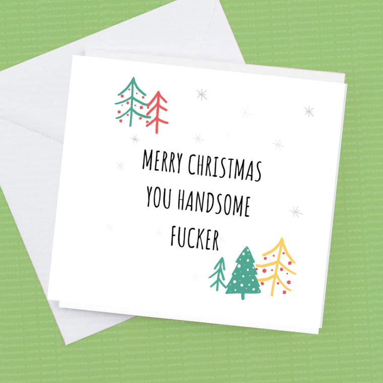 Merry Christmas you Handsome F...er cheeky Christmas card – Greeting Card