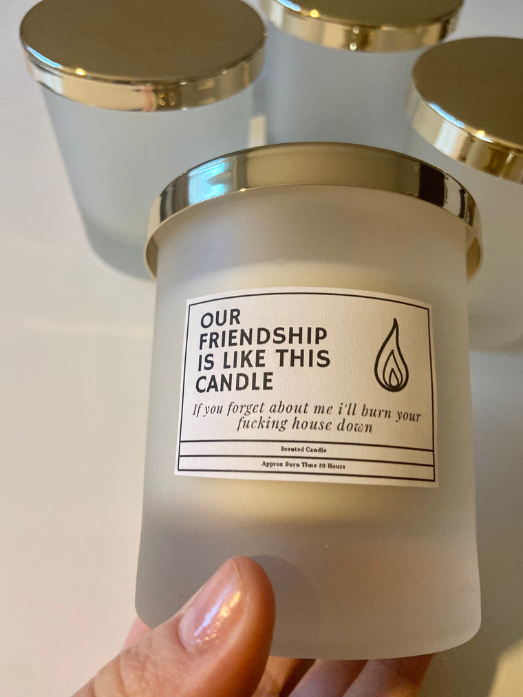 Funny Friendship Candle/ Funny Candles / Funny Gifts/ Birthday Gifts – Birthday Card