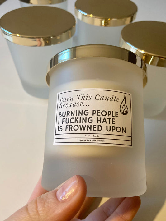 Burn This Candle Because Burning People I Hate Is Frowned Upon / Funny Candles / Funny Gifts/ Birthday Gifts