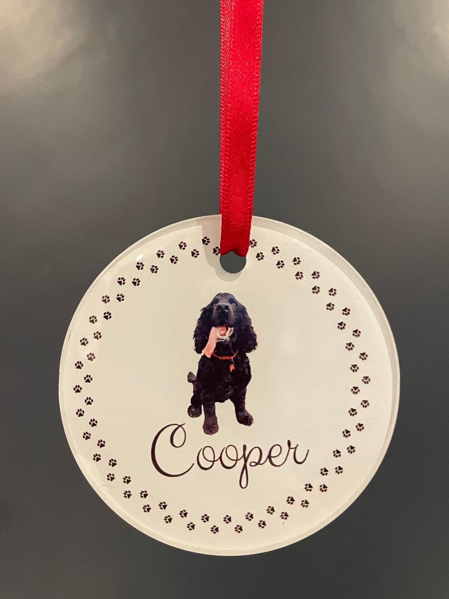 Personalised Pet Photo & name Christmas Tree decoration.