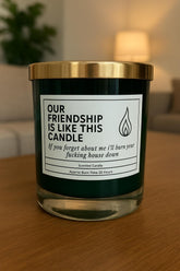 Funny Friendship Candle Our Friendship is like this candle forget about me and I'll burn your fucking house down