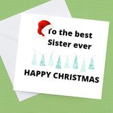 Christmas Card to the Best Sister, Brother, Auntie, Uncle personalise for who you would like