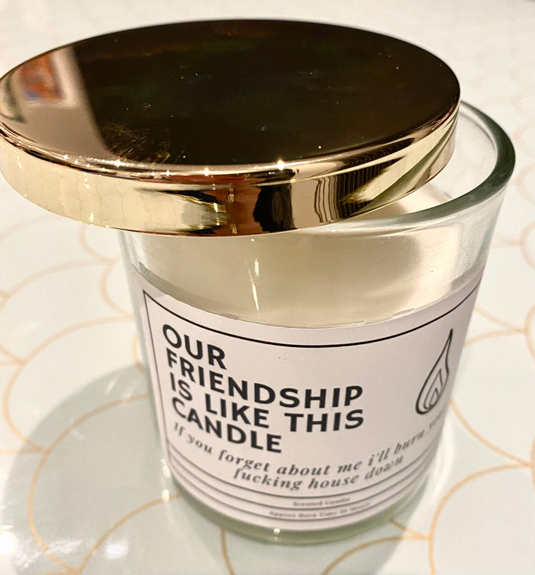 Our friendship is like this candle if you forget about me I’ll burn your f’in house down – Greeting Card