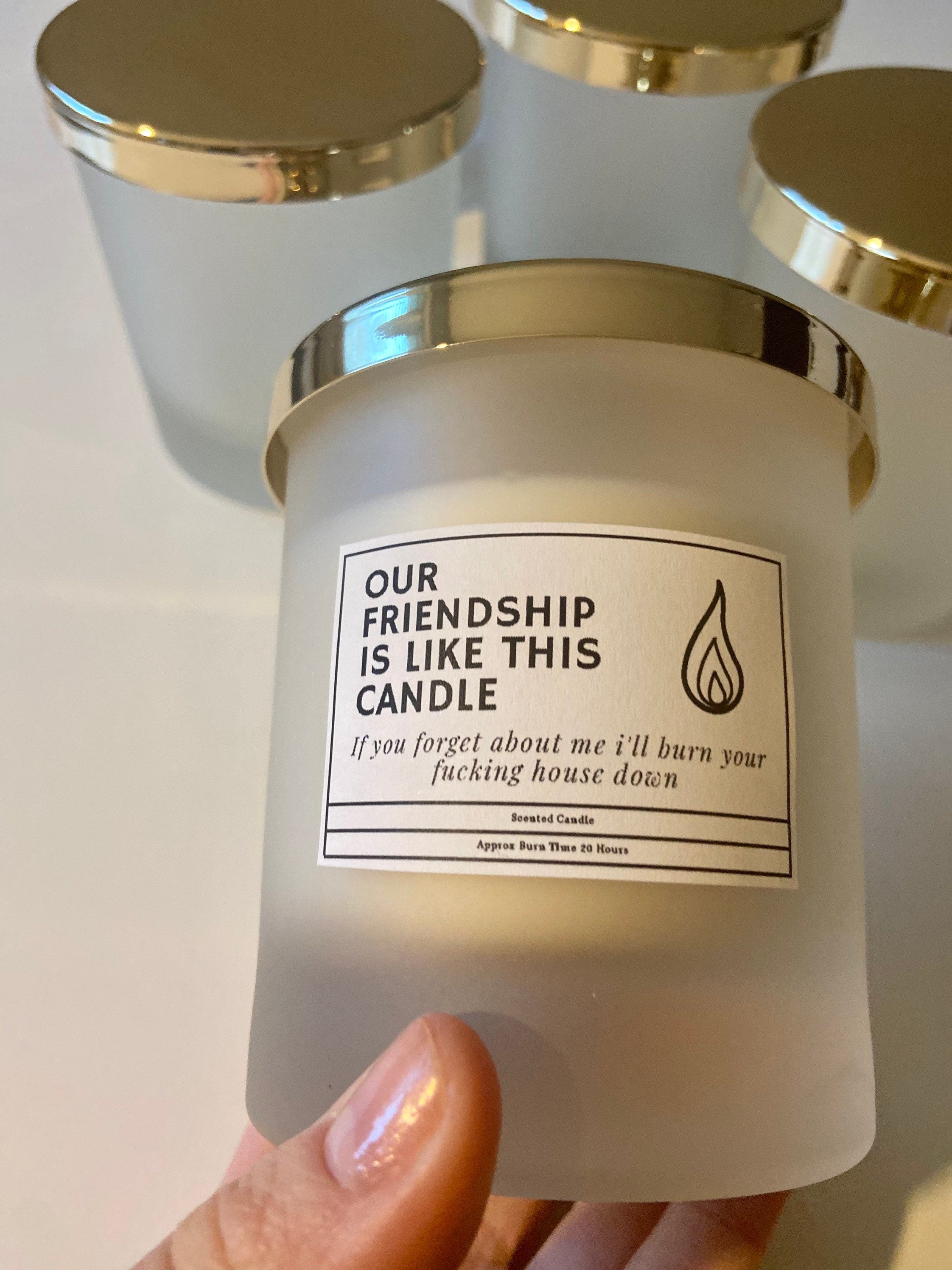Funny Friendship Candle, our friendship is like this candle, forget about me and I'll burn your house down
