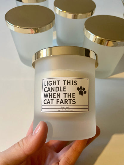 Light This Candle When The Cat Farts/ Funny Candles / Funny Gifts/ Birthday Gifts